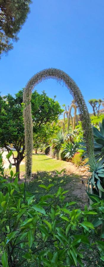 Elena Flat Lovely Paradise Above The Sea Sitio de Calahonda エクステリア 写真
