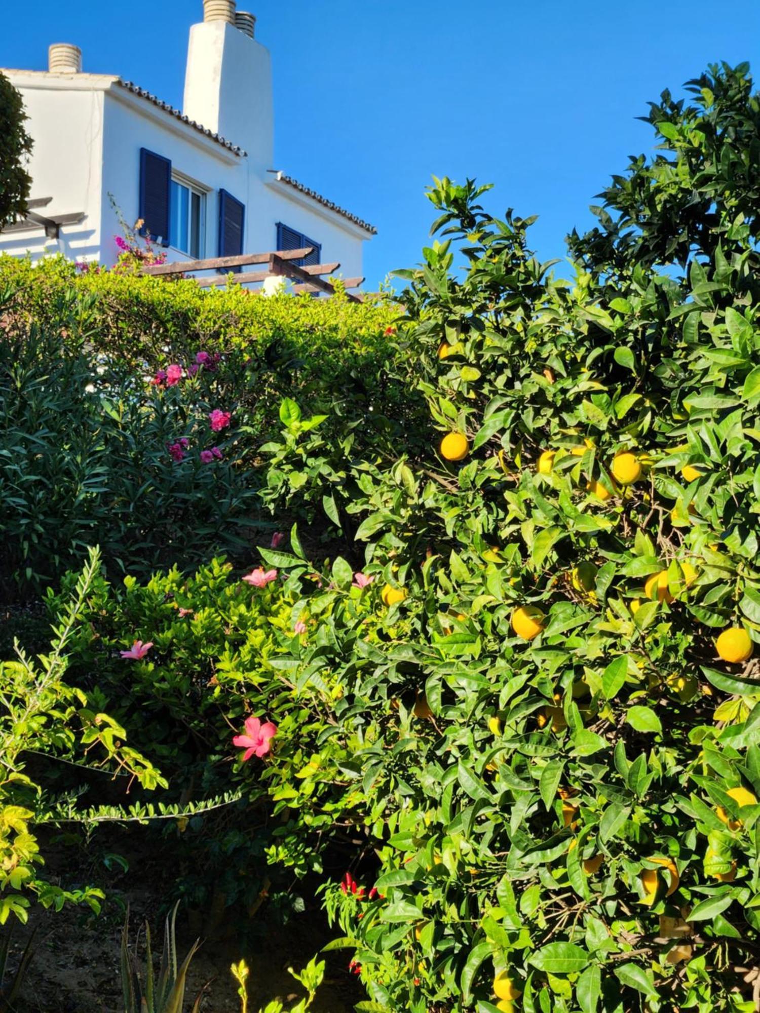 Elena Flat Lovely Paradise Above The Sea Sitio de Calahonda エクステリア 写真